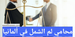 لم الشمل في ألمانيا + افضل المحامين