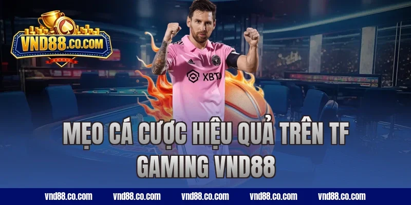 Mẹo cá cược hiệu quả trên TF Gaming VND88